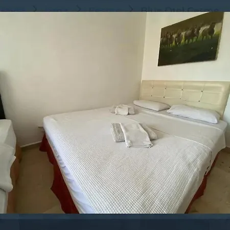 Vnz Alacati 酒店 *